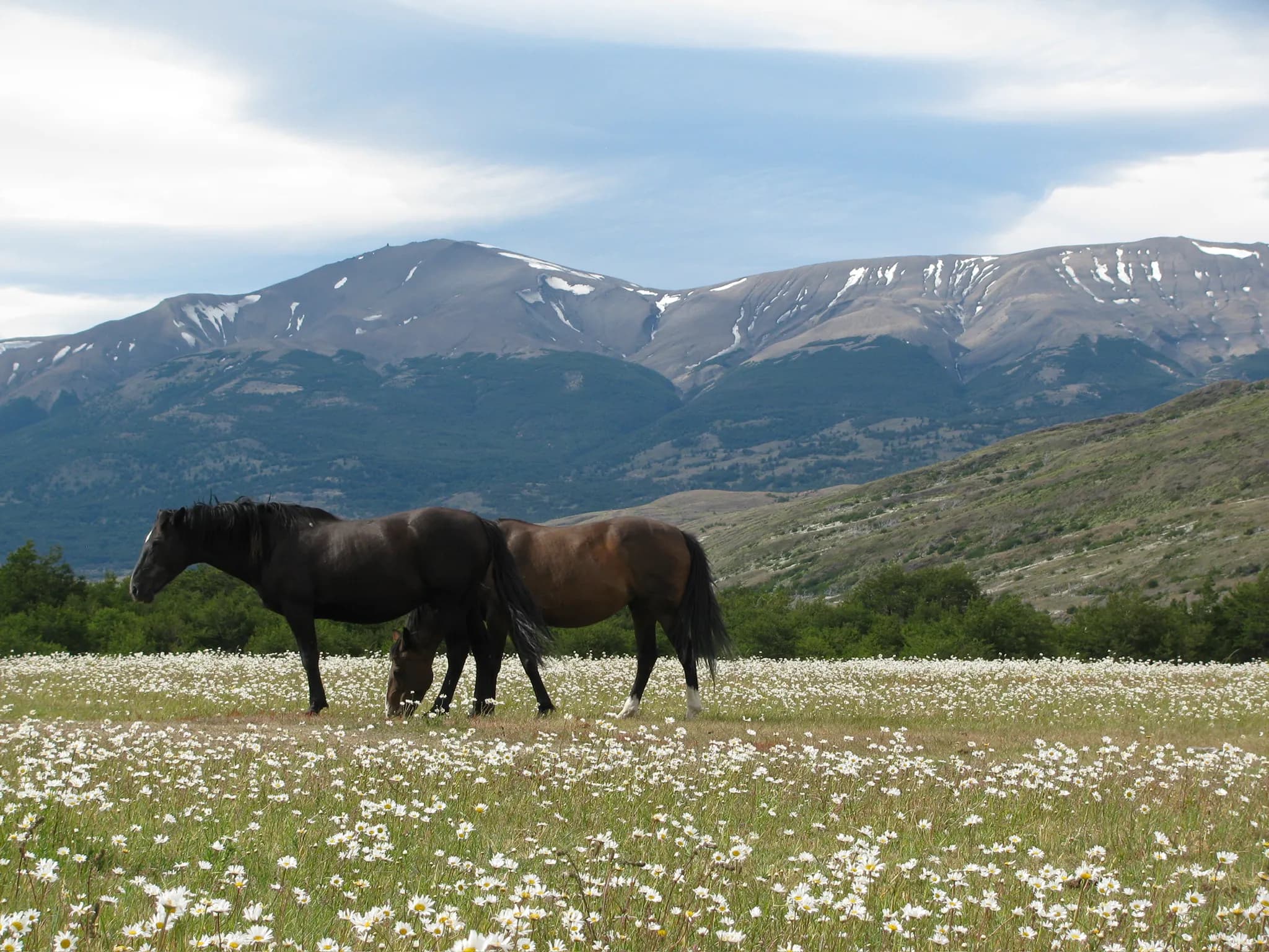 Torres del Paine O-Loop 3